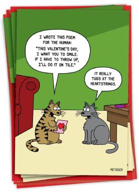 NobleWorks - Pack of 3 Humorous Valentine's Day Greeting Cards with Envelopes