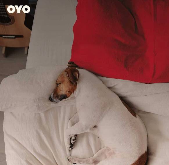 OYO Hotel Mobile, AL I-65 at Airport Blvd