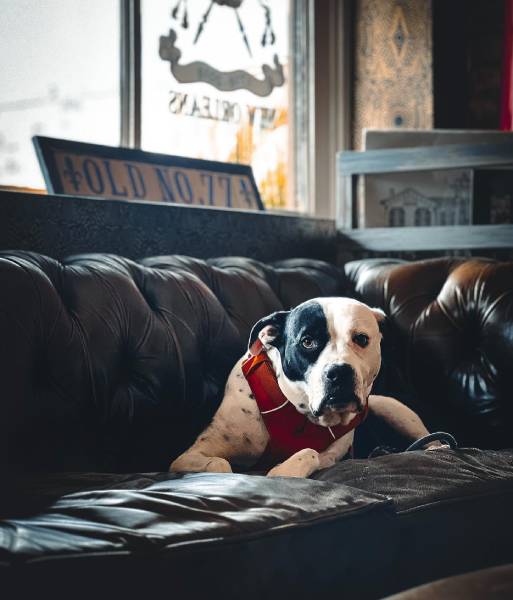 Old No. 77 Hotel & Chandlery