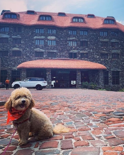 Omni Groove Park Inn