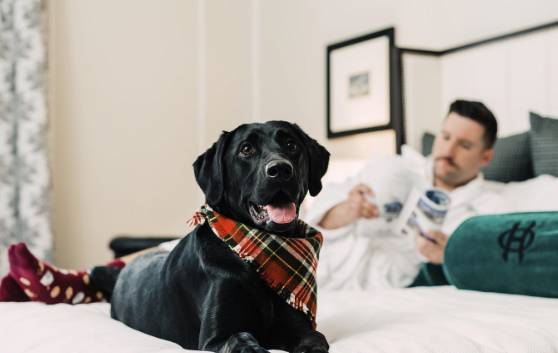 Oxford Hotel and Spa