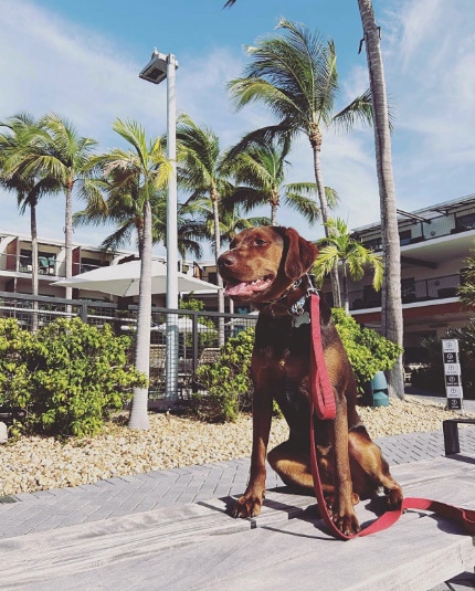 Perry Hotel and Marina Key West