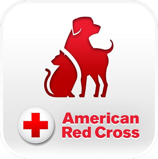 Pet First Aid