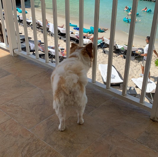 Pier House Resort and Spa