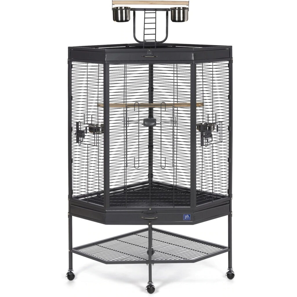 10 Best Parrot Cages – 2025 Reviews & Top Picks | Hepper Pet Resources - Mini Bird Cage Playtop For Small Blue Macaw