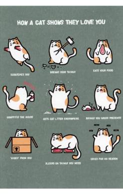 Recycled Paper Greetings How a Cat Shows They Love You