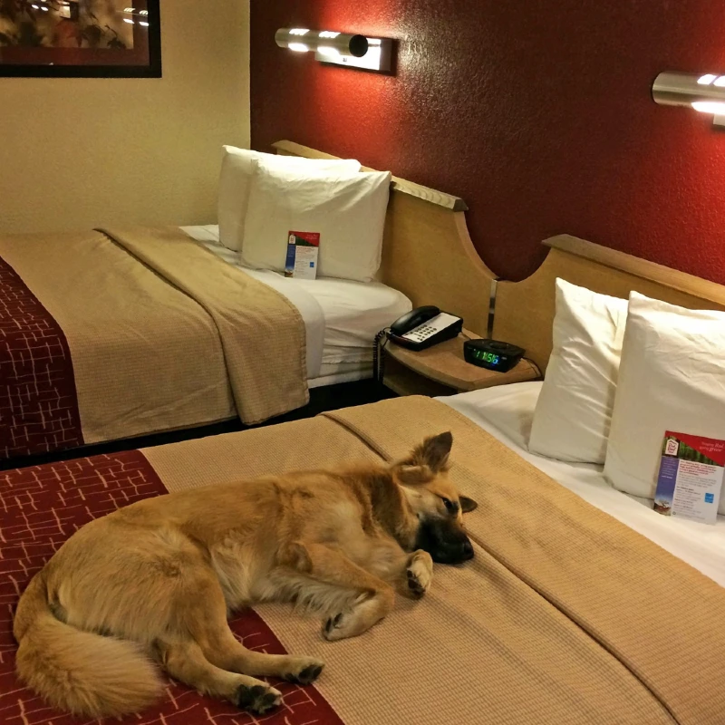 Red Roof Inn Johnson City