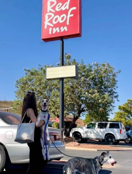 Red Roof Inn
