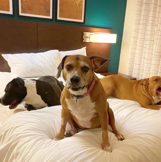Residence Inn by Mariott