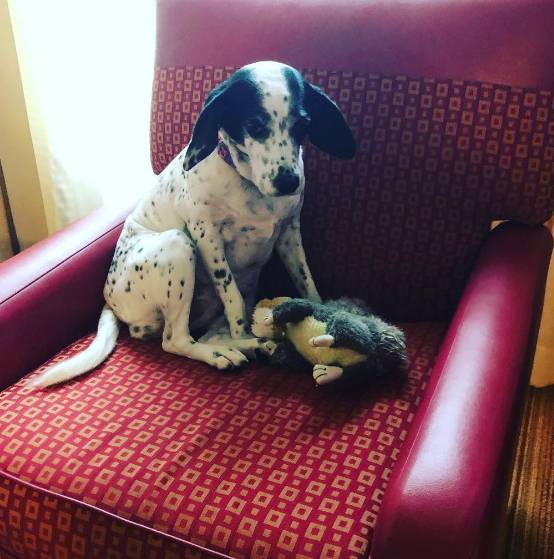 Residence Inn by Marriott Mobile