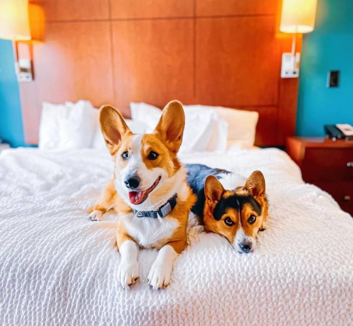 Residence Inn by Marriott