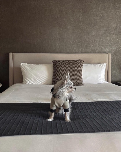 Revere Hotel Boston