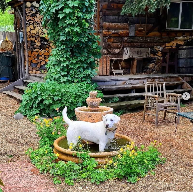 Robin’s Nest Bed & Breakfast