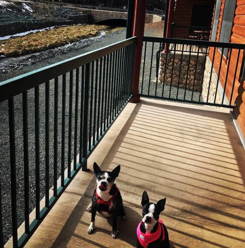 Ruidoso River Resort