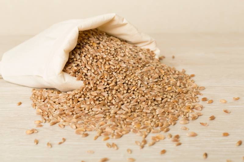 Sack with wholegrain spelt farro on wooden table