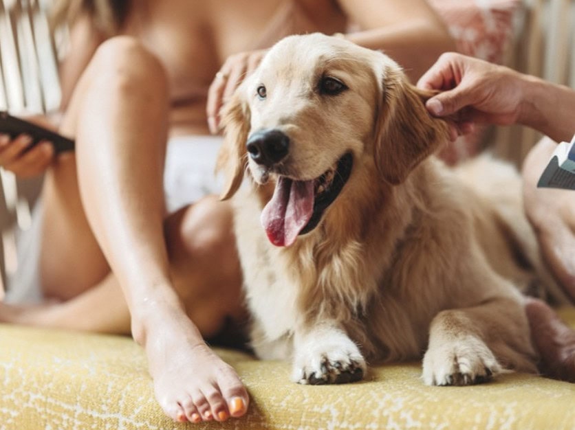 San Diego Mission Bay Resort_sdmissionbayresort