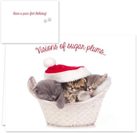 Santa with Snoozing Cats Cards