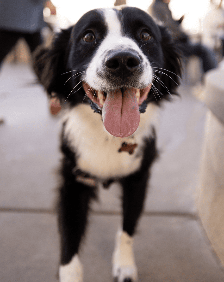 Sheraton San Diego Hotel & Marina_sheratonsd