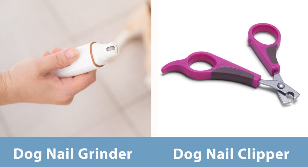 Dog Nail Grinders vs Dog Nail Clippers
