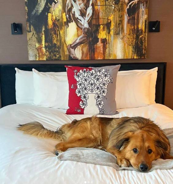 Sofitel Philadelphia