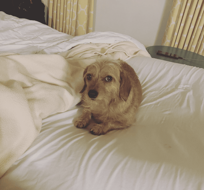 Sonesta ES Suites Flagstaff_sherlockndaisy