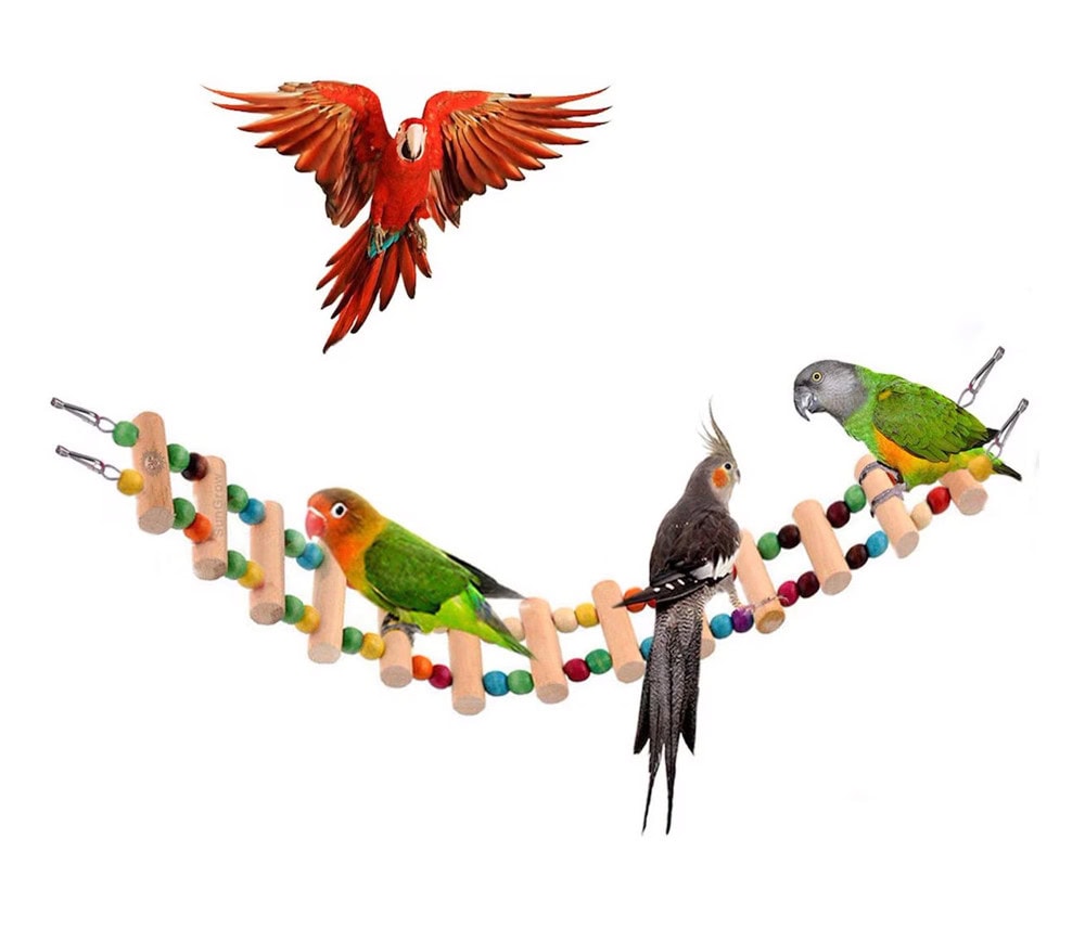 SunGrow Wooden Swing & Perch