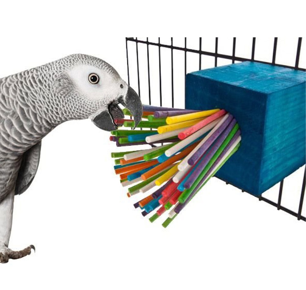 Super Bird Creations