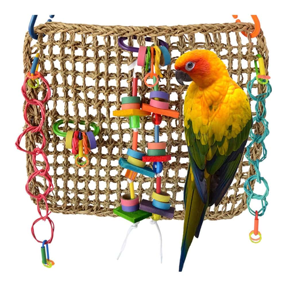 Super Bird Creations