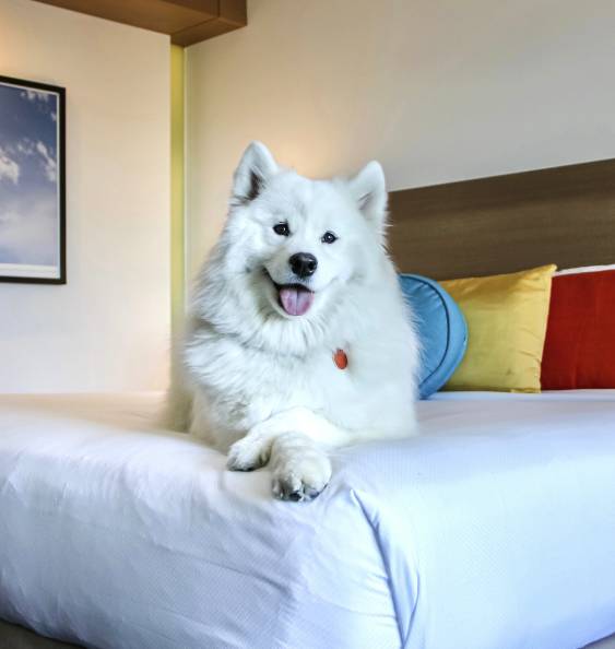 The ART Hotel Denver