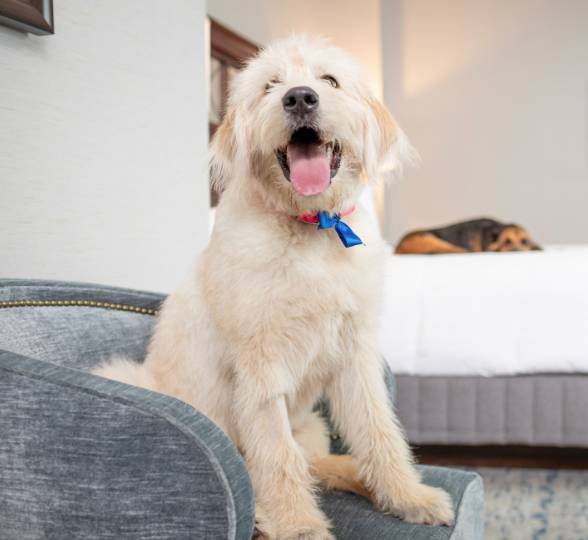 The Battle House Renaissance Hotel & Spa