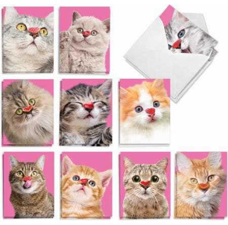 The Best Card Company - 20 Assorted Boxed Valentine's Day Note Cards with Envelopes