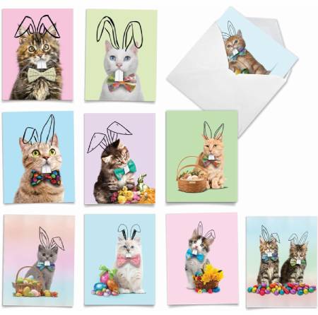 The Best Card Company
