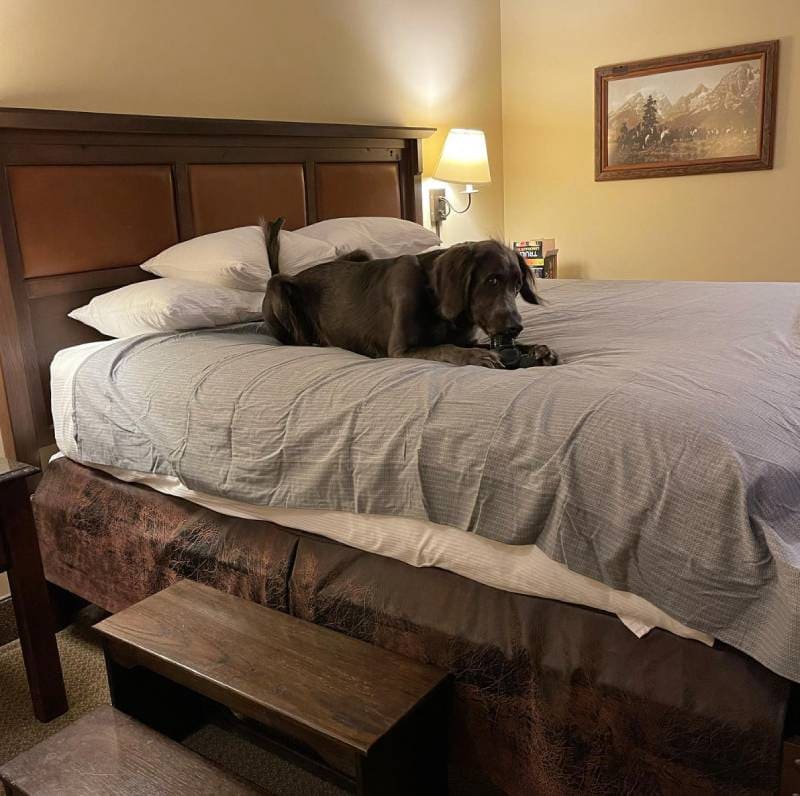 The Cody Hotel