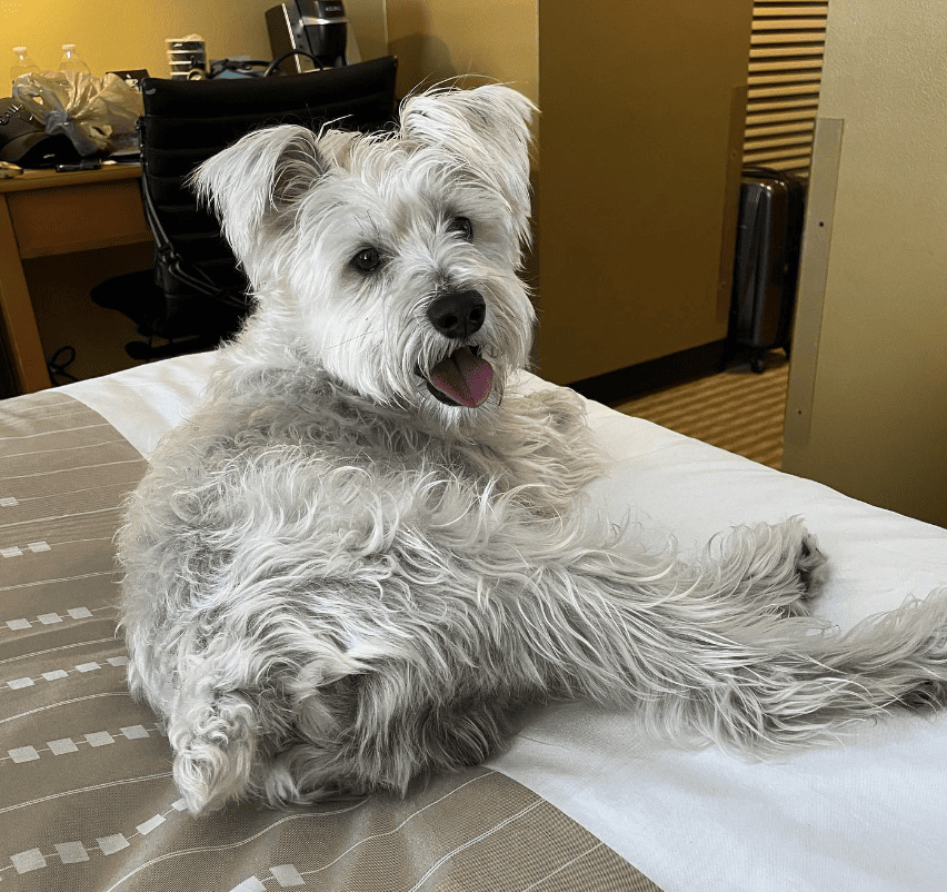 The Crockett Hotel_therealpetestachio