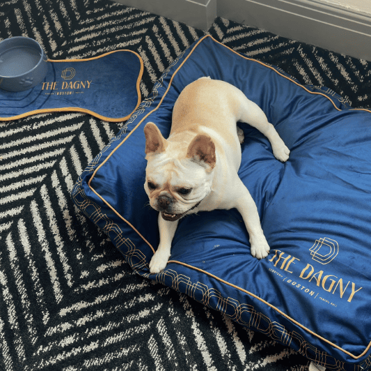 The Dagny Boston