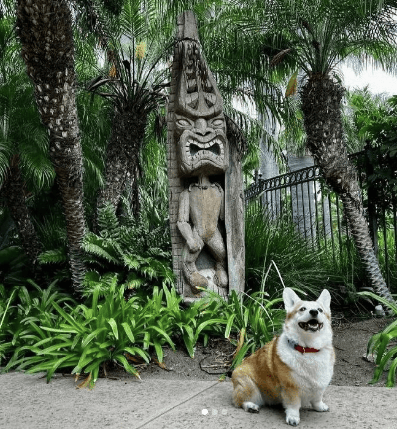 The Dana on Mission Bay_danamissionbay