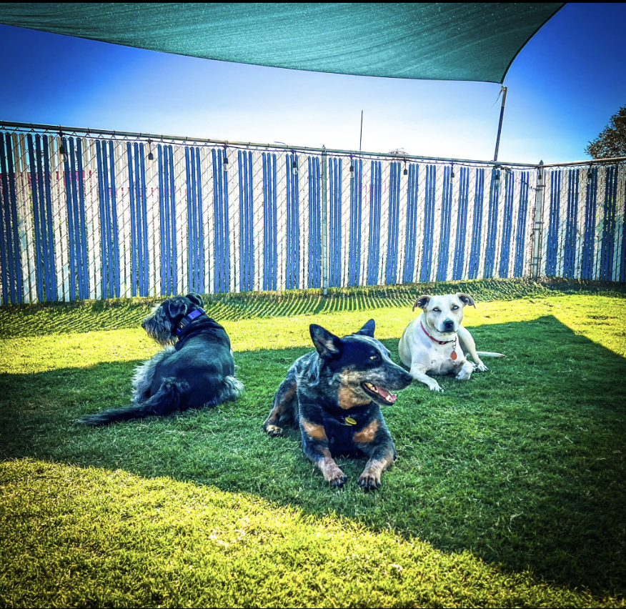 Roadrunner Lodge Motel