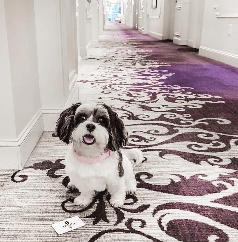 The Ivey’s Hotel