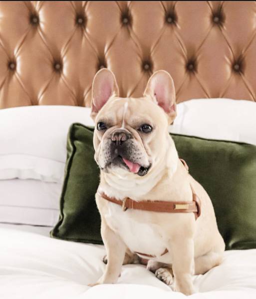 The Kimpton Hotel Monaco