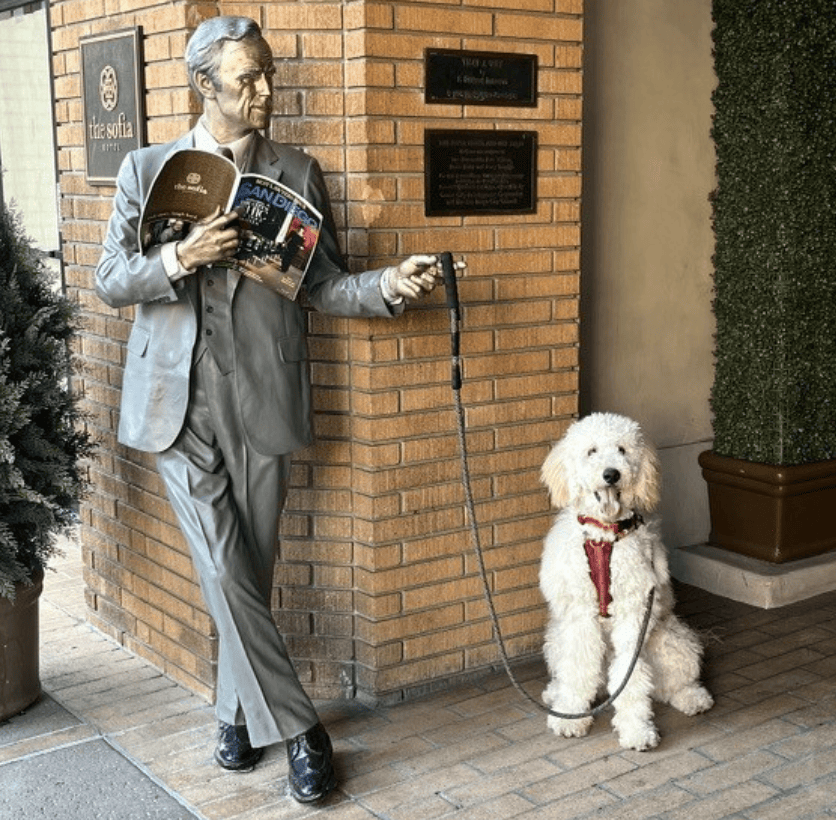 The Sofia Hotel_thesofiahotel