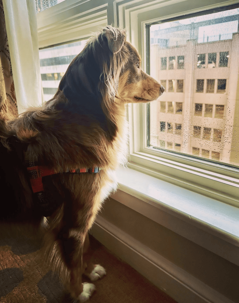 The Westin Riverwalk_myfavoritephotos022