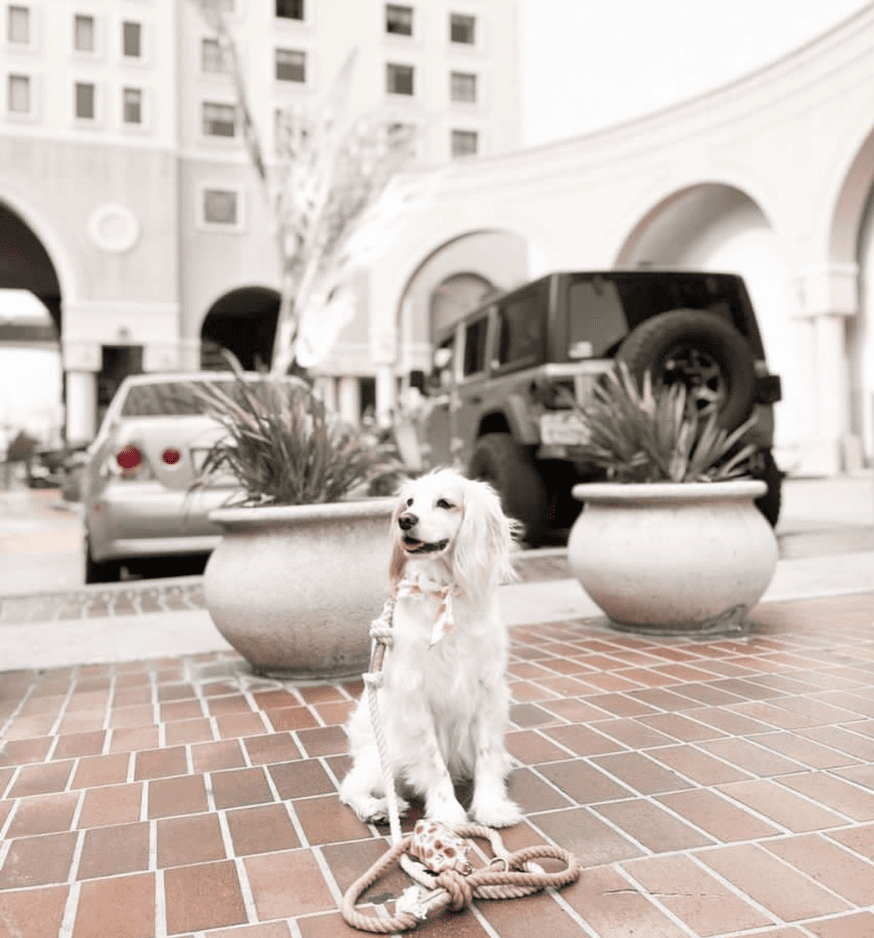 The Westin San Diego Gaslamp Quarter_westingaslampsd