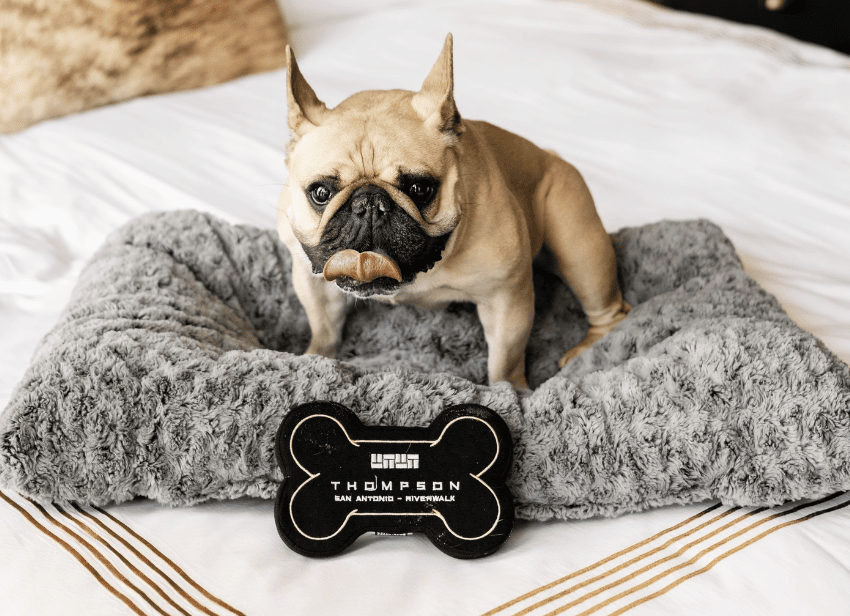 Thompson San Antonio Riverwalk_thompsonsanantonio