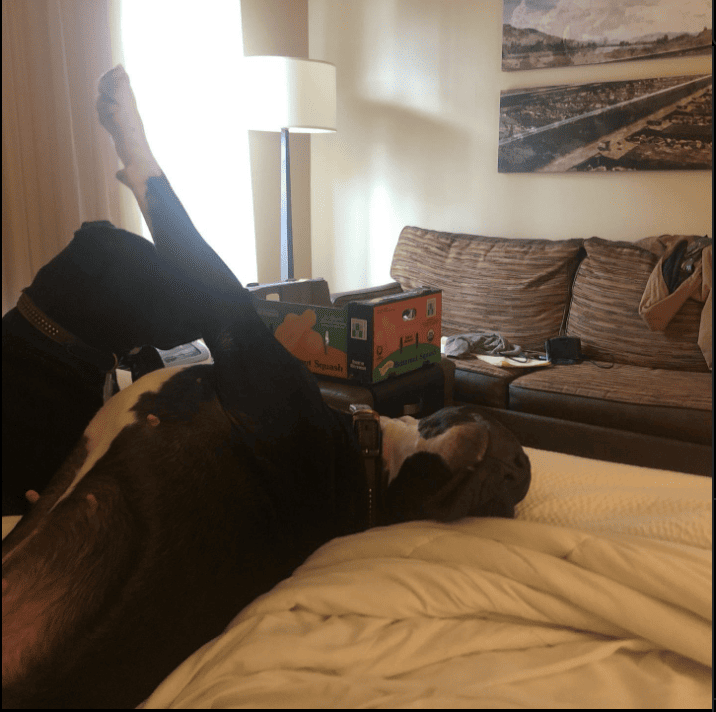 TownePlace Suites by Marriott Billings_emkash1990