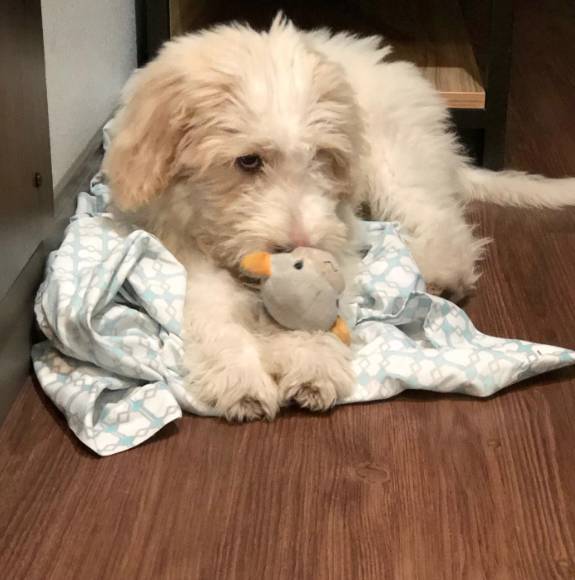 Tru by Hilton Mobile