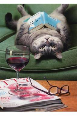 Upside Down Cat Reading Book