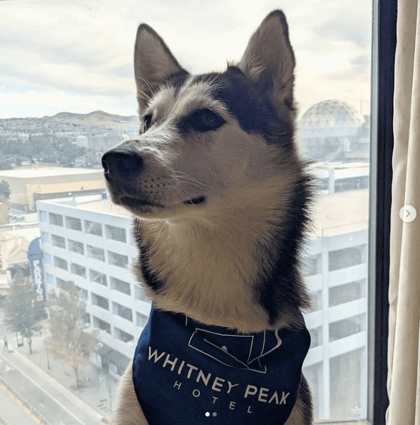 Whitney Peak Hotel