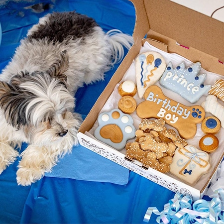 Wufers Birthday Cookie Box Bundle
