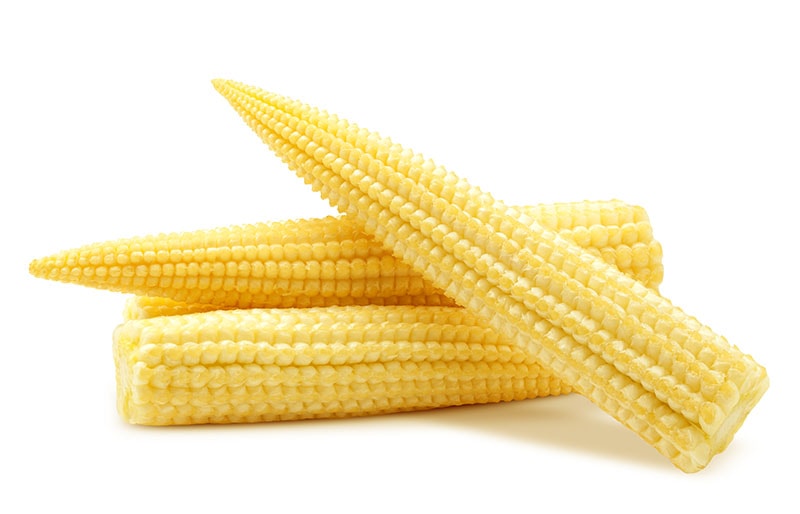 baby corn isolated on white background