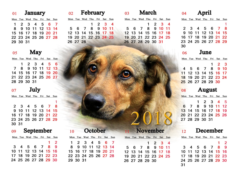calendar for 2018 with the image of a dog